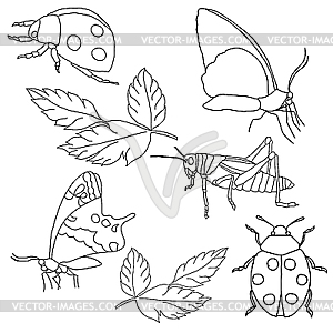 Набор насекомых - векторный рисунок
