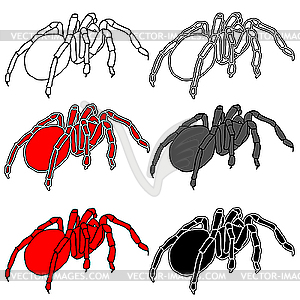 Set of black widow spiders - vector image