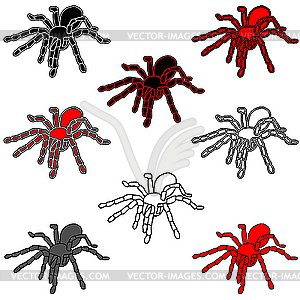 Set of black widow spiders - vector clipart