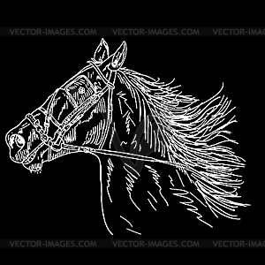 Black horse - vector clip art