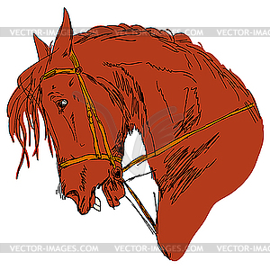 Horse - vector clipart