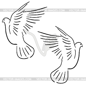 Набор белых голубей - векторизованное изображение клипарта