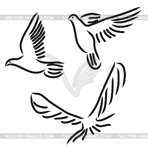 Set of white doves - vector image
