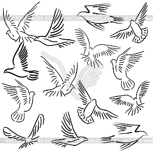 Set of white doves - vector clipart