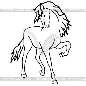 Black horse - vector clipart