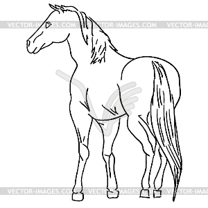 Black and white horse - vector clip art