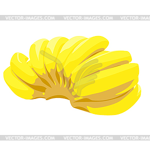 Bunch of bananas - vector image