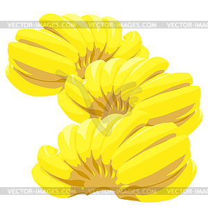 Three bunch of bananas - vector clipart