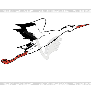 White Stork in flight.  - vector image