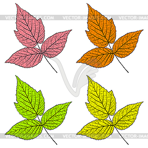 Set sketches silhouettes leaves - vector image