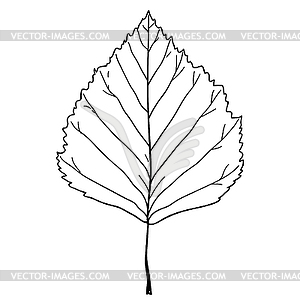 Sketches silhouettes leaves - vector image