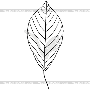 Sketches silhouettes leaves - vector image