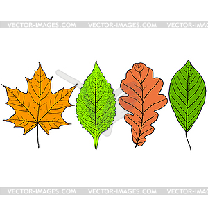 Set sketches silhouettes leaves - vector clipart