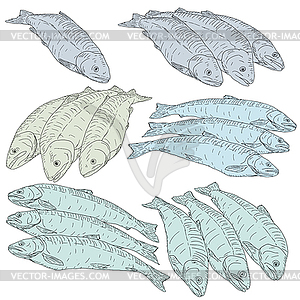 Collection of natural marine fish sketch - vector clipart