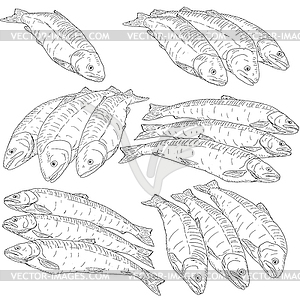 Collection of natural marine fish sketch - vector image