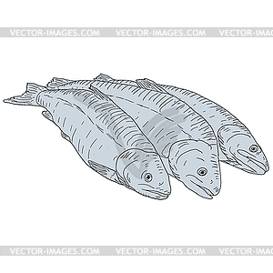Collection of natural marine fish sketch - vector clip art