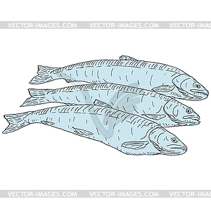 Collection of natural marine fish sketch - vector image