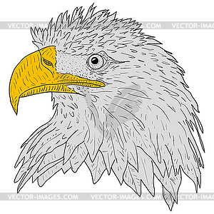 Sketch silhouette sketch eagle face - vector clip art