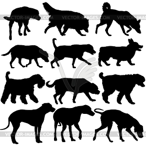 Set silhouette dog - vector clip art