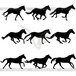 Set silhouette of black mustang horse - vector image