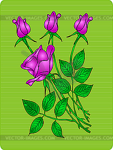 Beautiful violet rose - vector clipart