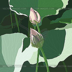  Realistic Oriental lotus - flower  - vector clip art