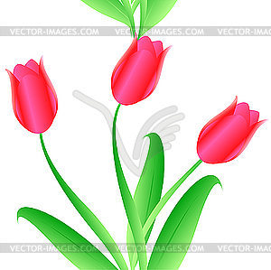 Tulips - vector clipart