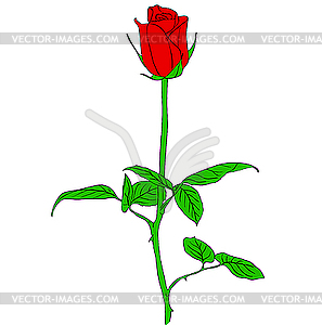 Red Rose - vector clipart