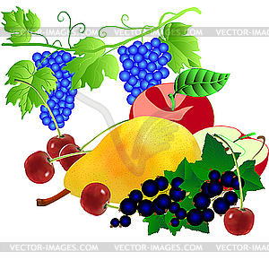 Набор фруктов - клипарт в векторном формате