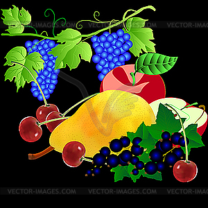 Set of fruits - vector image