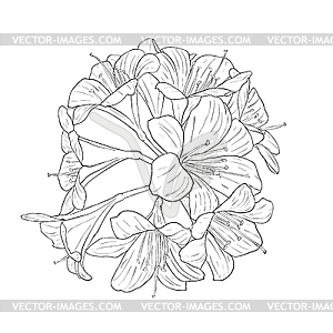 Floral background with blooming lilies - vector image