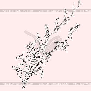 Background with blooming flowers - vector clipart