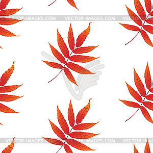 Pattern with curling leaves of plant - royalty-free vector clipart