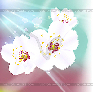 Artistic flower background - vector image