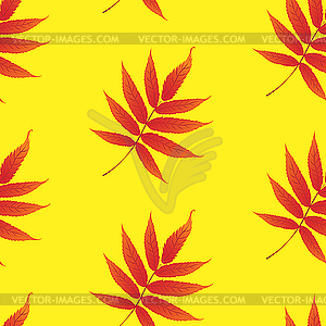 Pattern with curling leaves of plant - vector image