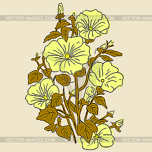 An elegant bouquet of beautiful flowers - vector clipart
