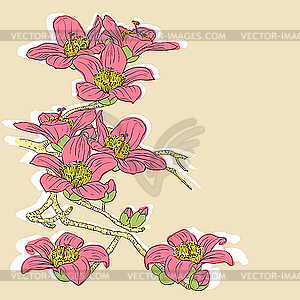 Twig of blossoming orchids - vector image