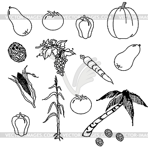 Vegetables set - vector image