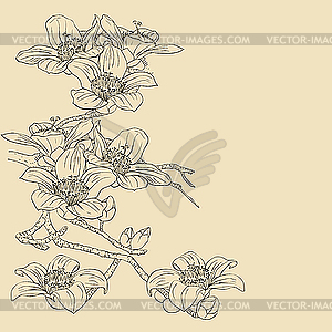 Tender twig blossoming orchids on light background  - vector clipart