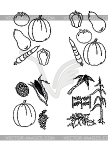 Set - doodles - vegetables - vector clip art