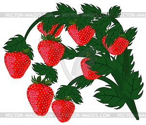 Ripe red strawberries - royalty-free vector image