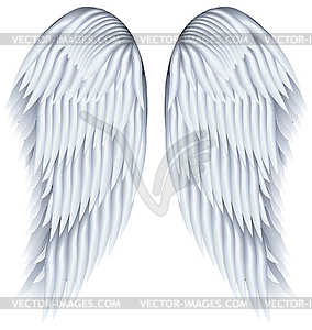 Wings - vector clipart