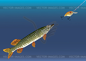 Fishing for bait.  - vector clip art