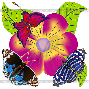 Butterflies and flower - vector clip art