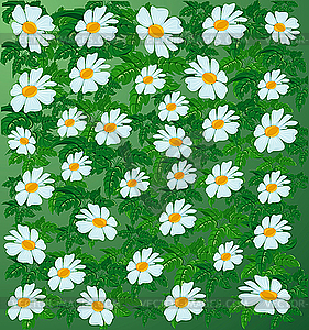 Flower background - vector clipart