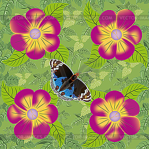 Pattern with flowers and butterfly - vector image