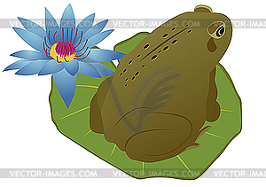 Frog on lotus leaf - stock vector clipart