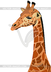 Жираф - изображение векторного клипарта