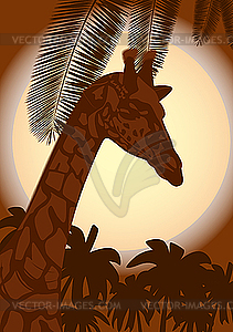 Giraffe and night landscape - vector clip art