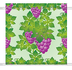 Grapes - vector clip art